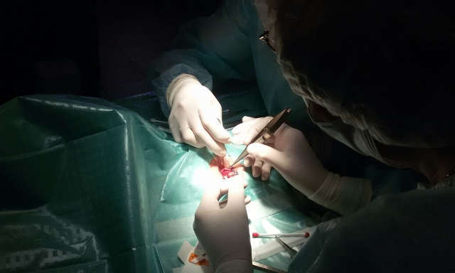 Катаракта хирургическое лечение (операция)