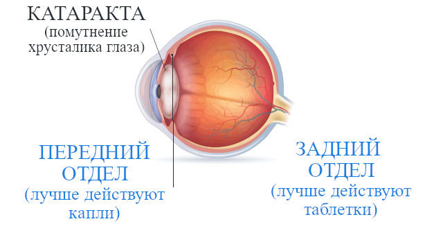 Препараты (лекарства) для лечения катаракты глаза